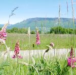 © Driving Tour The secrets of the Mont Tournier Mountain - Nadine Chevelard