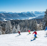 © ski-alpin-lafeclaz.jpg - Peignée verticale - Grand Chambéry Alpes Tourisme