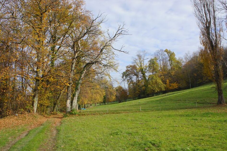 © sentier Tour des hameaux - Grand Lac