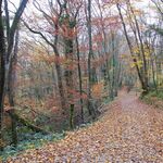 © sentier Tour des hameaux - Grand Lac