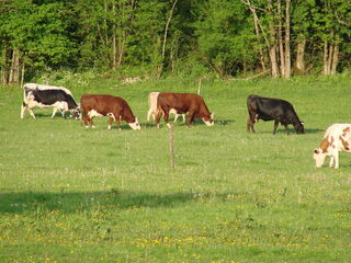 © La Ferme du Marais - C.MAGNIN