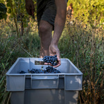 © Domaine de Lucey - Anne-Cécile Pflieger