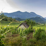 © Domaine de Lucey - Anne-Cécile Pflieger