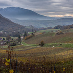 © Domaine de Lucey - Anne-Cécile Pflieger