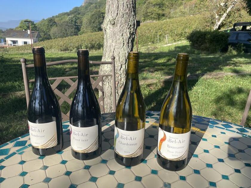 © Domaine de Bel Air - Production_Domaine_Bel_Air_©N.Gay_Aintourisme