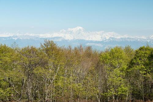 Parcours VTT rouge N°40 - Boucle de Sur-Lyand - Espace FFC Ain Forestière