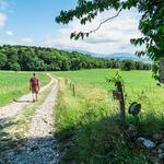 Sentier pédestre les chemins d'Angely