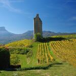 © Vignes du Coeur de Savoie - ©AdobeStock