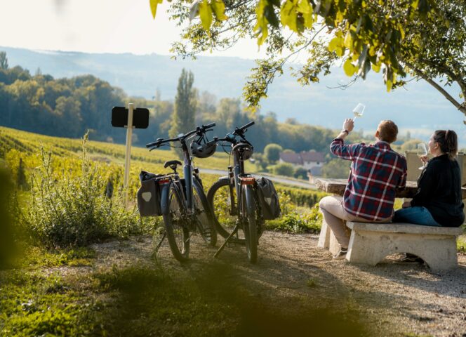 Rando vélo dans les vignes de Savoie