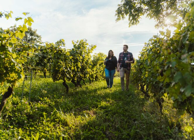 Rando dans les vignes de Savoie