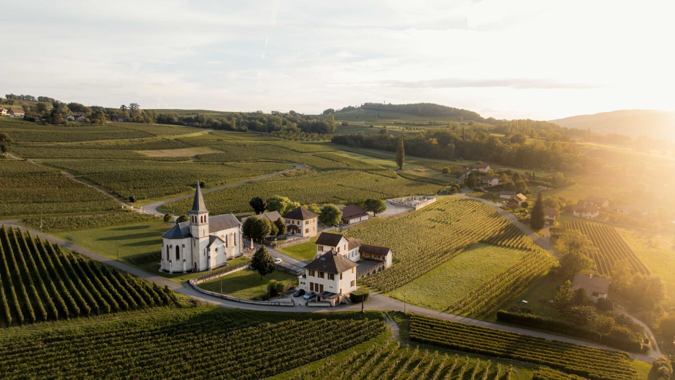 Vignobles Saint Jacques de Compostelle